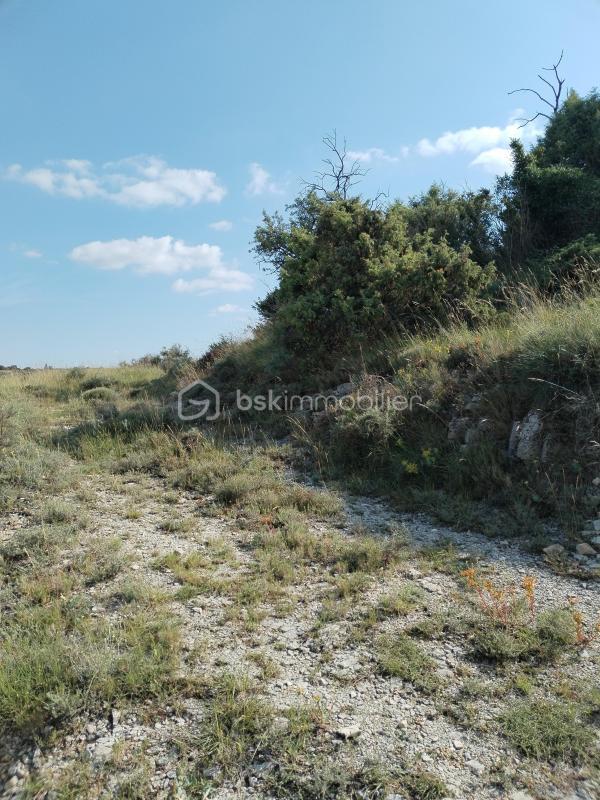 Terrain - 2 500 m²
