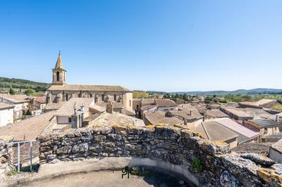 Château - 550 m² - 11 pièces