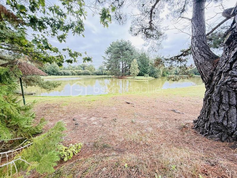 Maison - 380 m² - 4 pièces