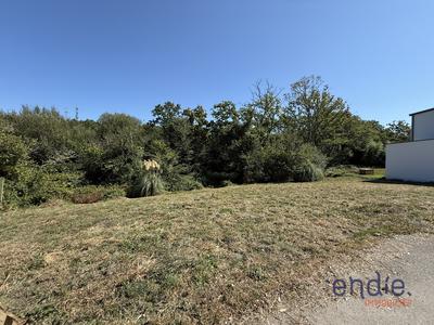 Terrain - 553 m²