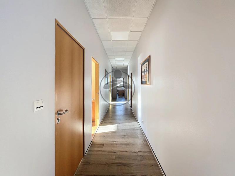 Bureau - 337 m² - 11 pièces