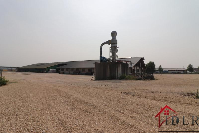 Local d'activité / Entrepôt - 22 000 m²