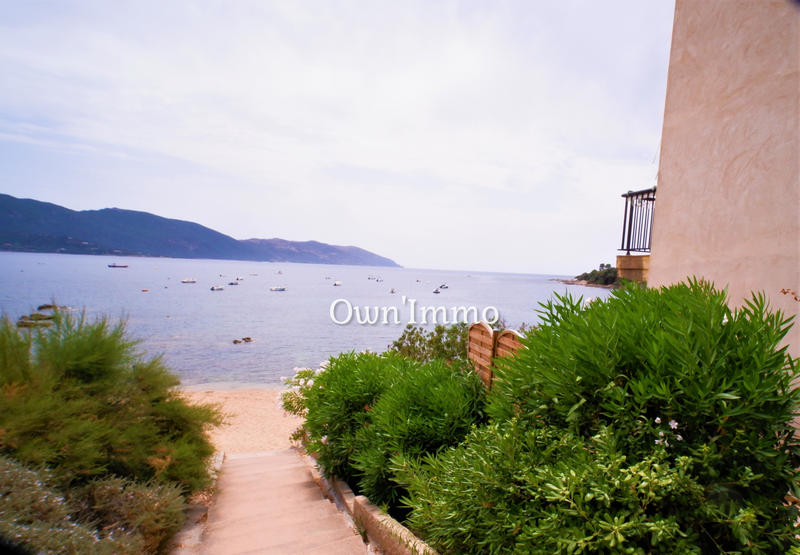 Appartement - 31 m² - 1 pièce