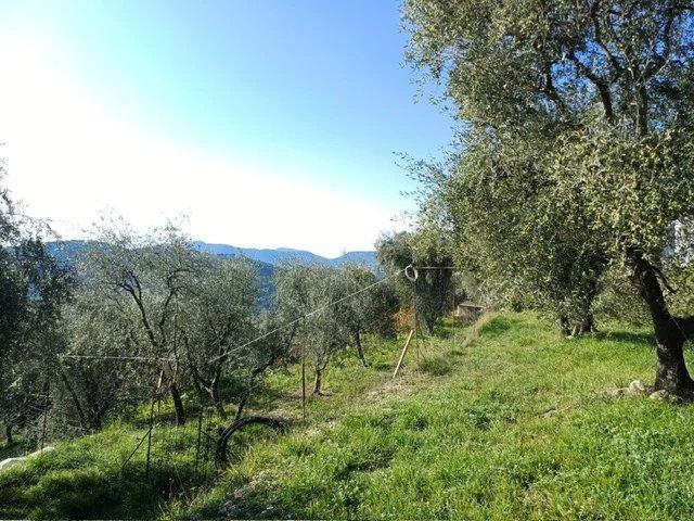 Villa - 54 m² - 3 pièces