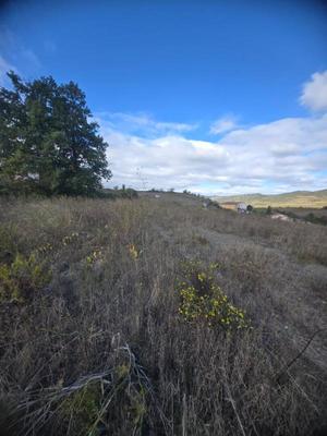 Terrain constructible - 2 463 m²