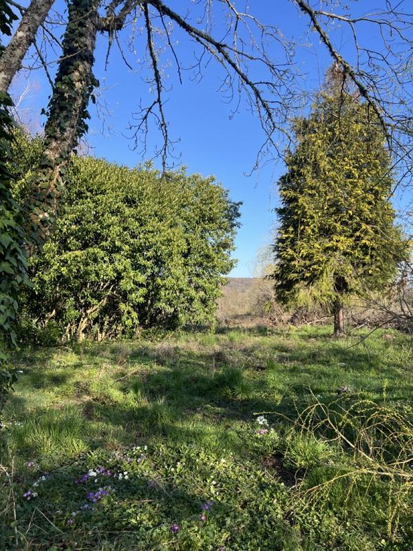 Maison ancienne - 65 m² - 2 pièces