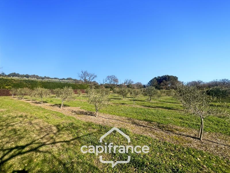 Maison de campagne - 177 m² - 5 pièces