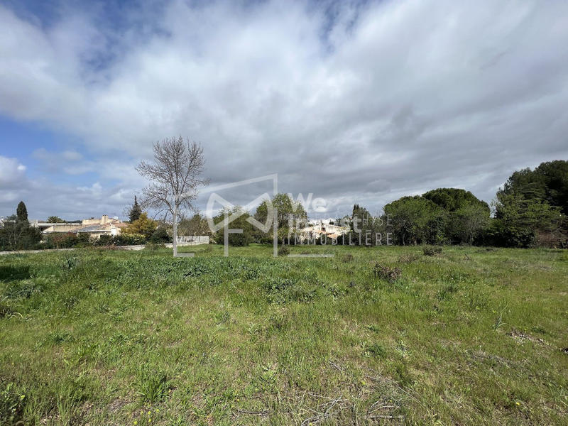 Terrain - 745 m²