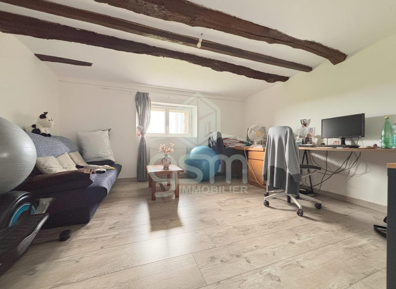 Maison ancienne - 230 m² - 7 pièces