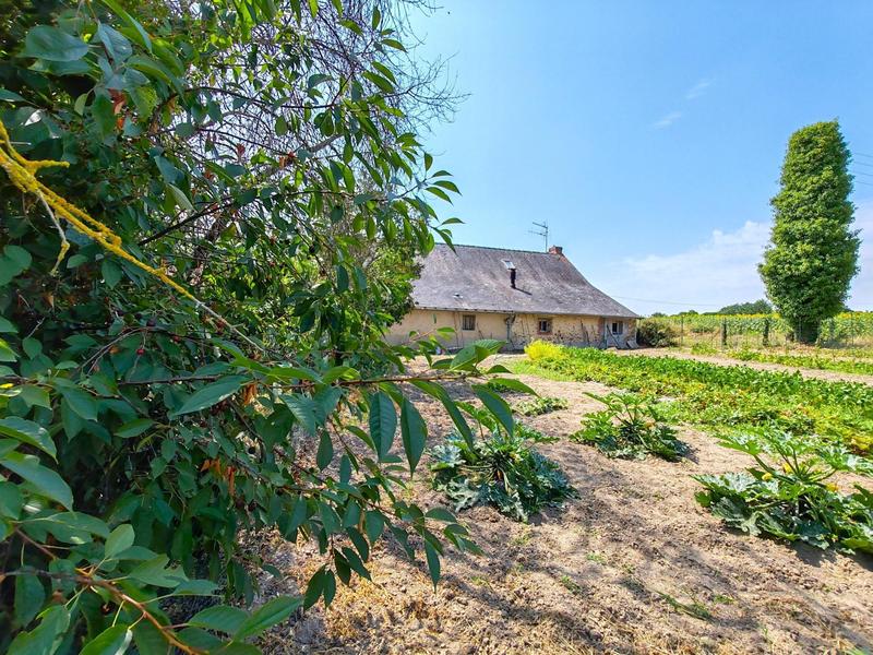 Maison - 264 m² - 8 pièces