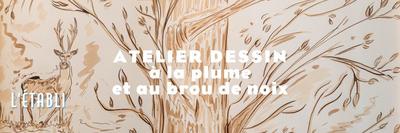 Atelier : Dessin à la plume et au brou de noix