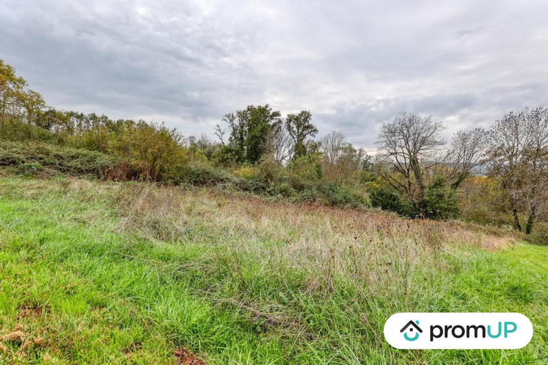 Terrain - 17 000 m²