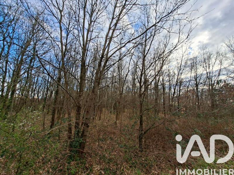 Terrain - 12 130 m²