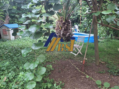 Maison traditionnelle - 227 m² - 10 pièces