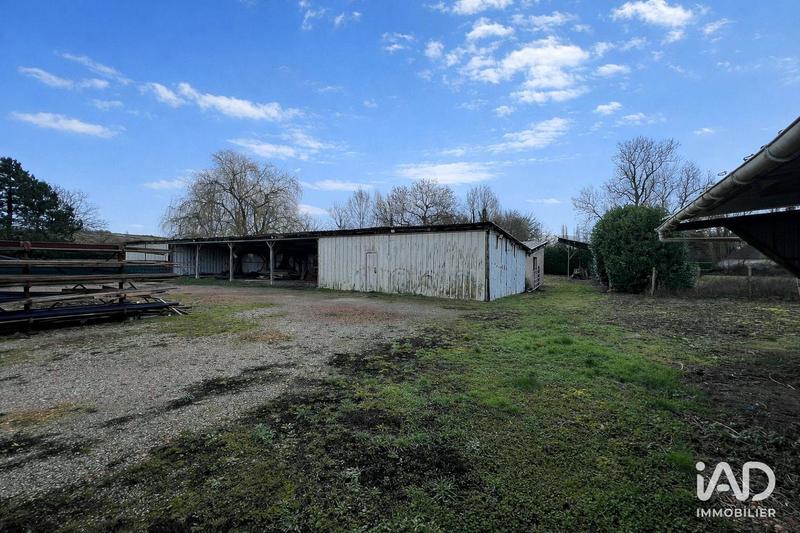 Local commercial - 713 m²