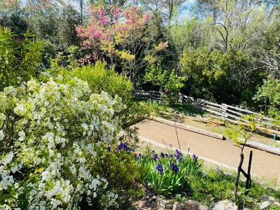 Maison - 195 m² - 8 pièces