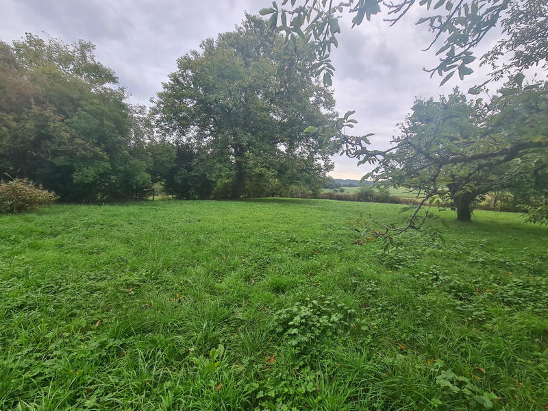 Maison - 110 m² - 3 pièces