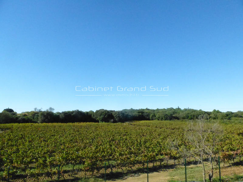 Appartement - 54 m² - 3 pièces