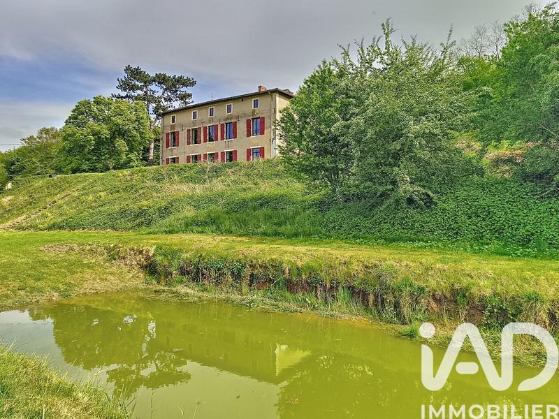 Château - 320 m² - 8 pièces