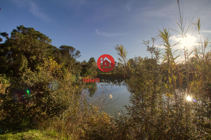 Maison - 286 m² - 14 pièces