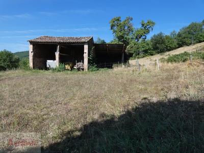 Terrain constructible - 15 000 m²
