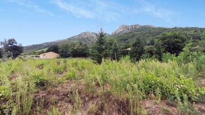 Terrain - 1 130 m²