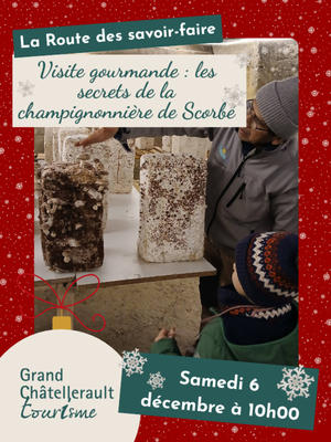 Les secrets de la champignonnière de Scorbé