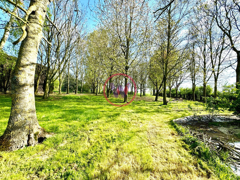 Maison - 170 m² - 5 pièces