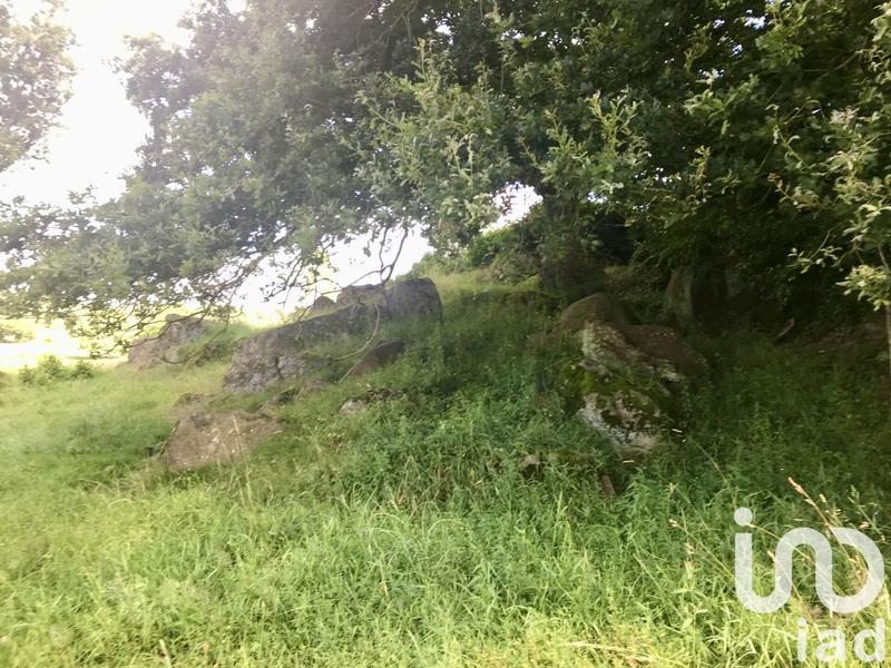 Ferme - 90 m² - 4 pièces