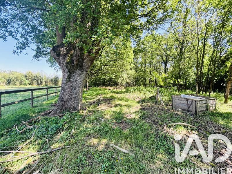 Maison - 157 m² - 5 pièces