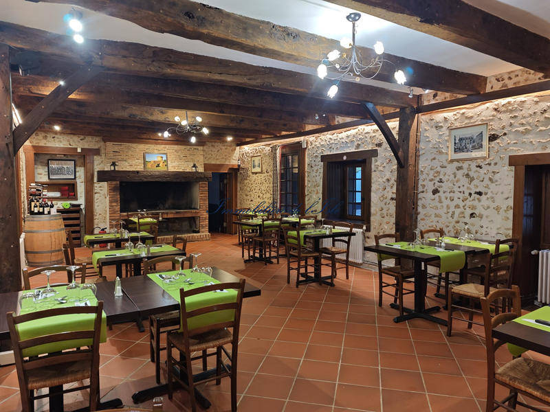 Maison - 535 m² - 14 pièces