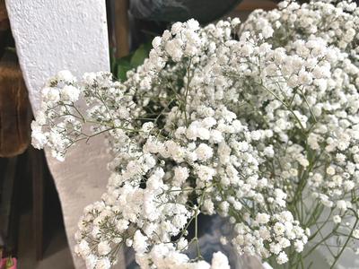 Fonds de commerce - 64 m²