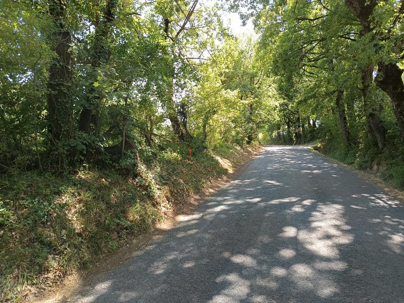 Terrain constructible - 1 582 m²