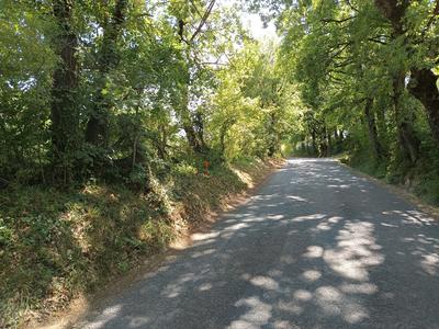 Terrain constructible - 1 582 m²