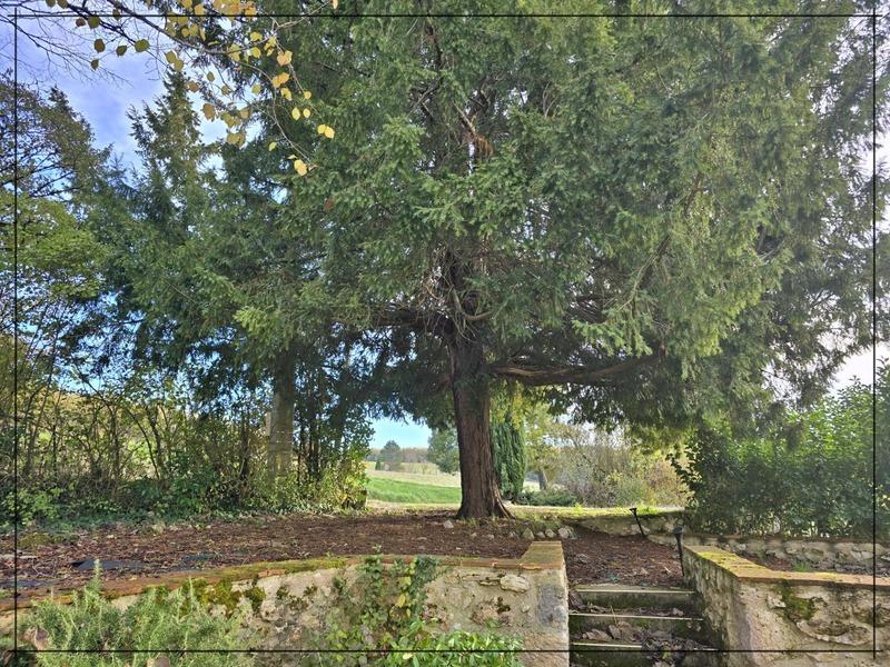 Maison - 480 m² - 10 pièces