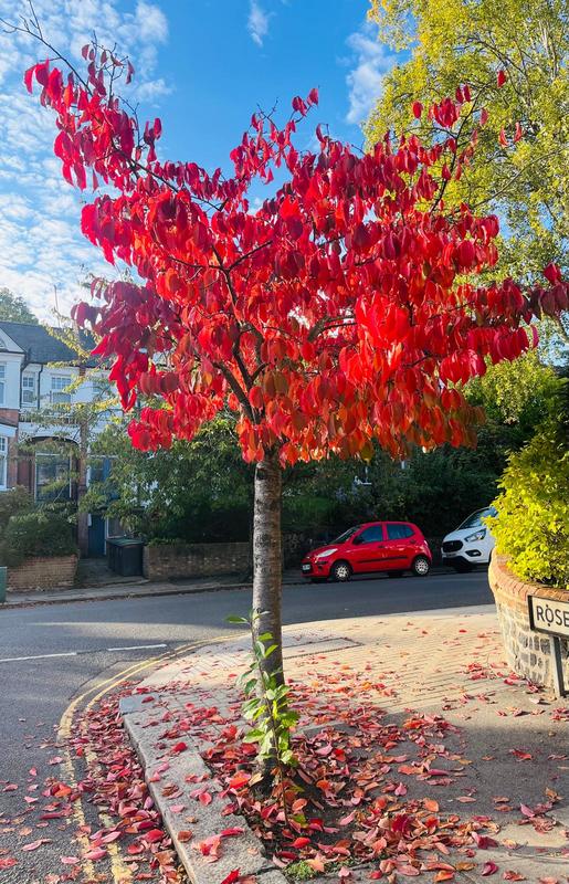 Randonnée : les monuments des &quot;Napoléons&quot; (New)