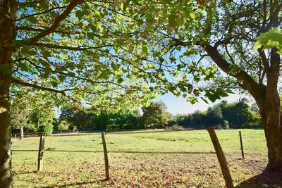 Propriété - 510 m² - 20 pièces