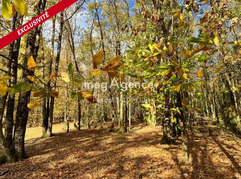 Terrain constructible - 4 400 m²