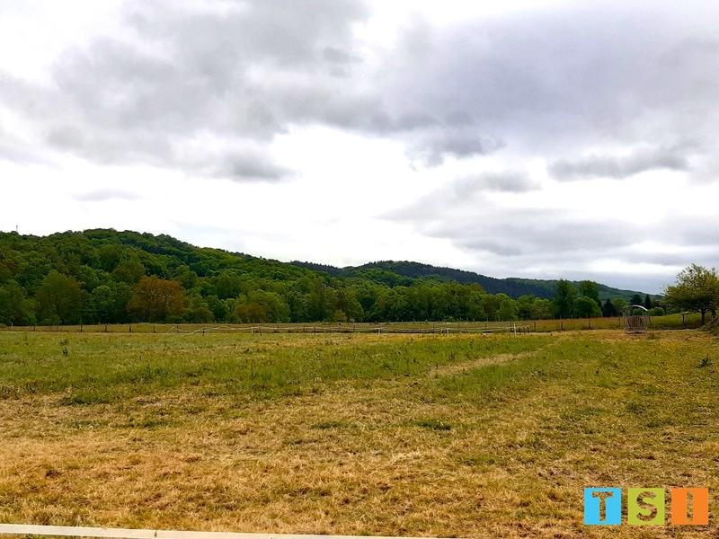 Terrain constructible - 3 000 m²