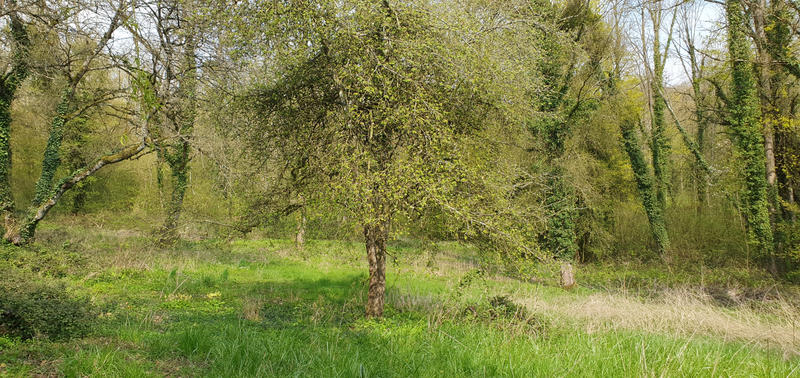 Propriété - 160 m² - 5 pièces