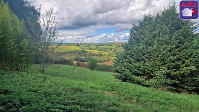 Maison - 137 m² - 5 pièces