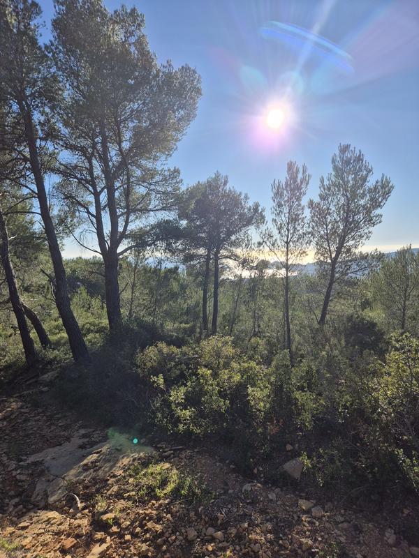 Terrain de loisirs - 5 310 m²