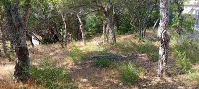 Terrain constructible - 1 280 m²