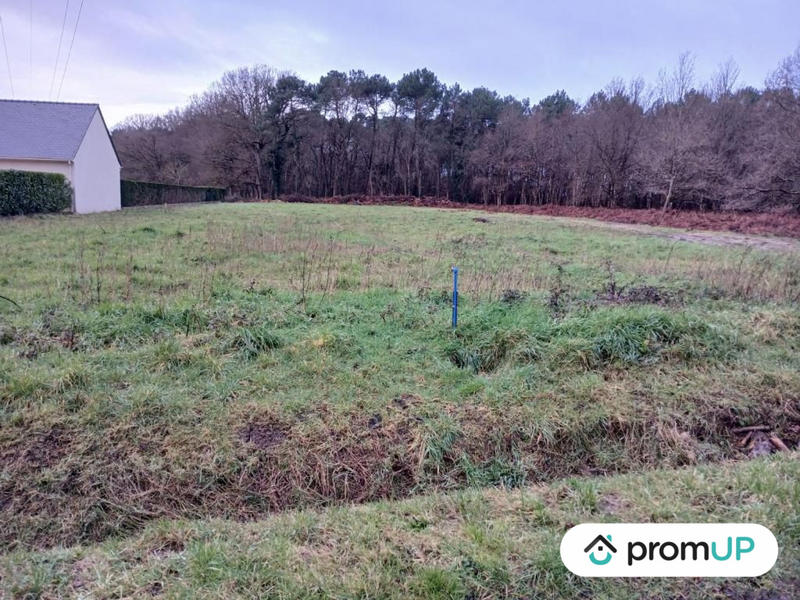 Terrain de loisirs - 4 000 m²