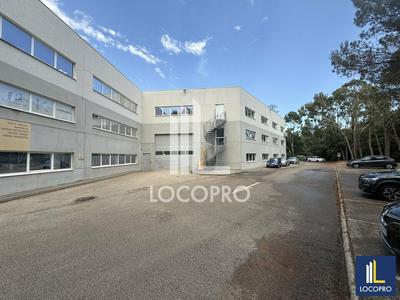 Local d'activité / Entrepôt - 706 m²