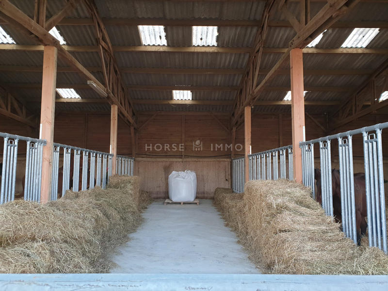 Maison - 310 m² - 7 pièces