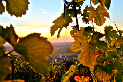 Balade ludique - au fil de la vallée des chats