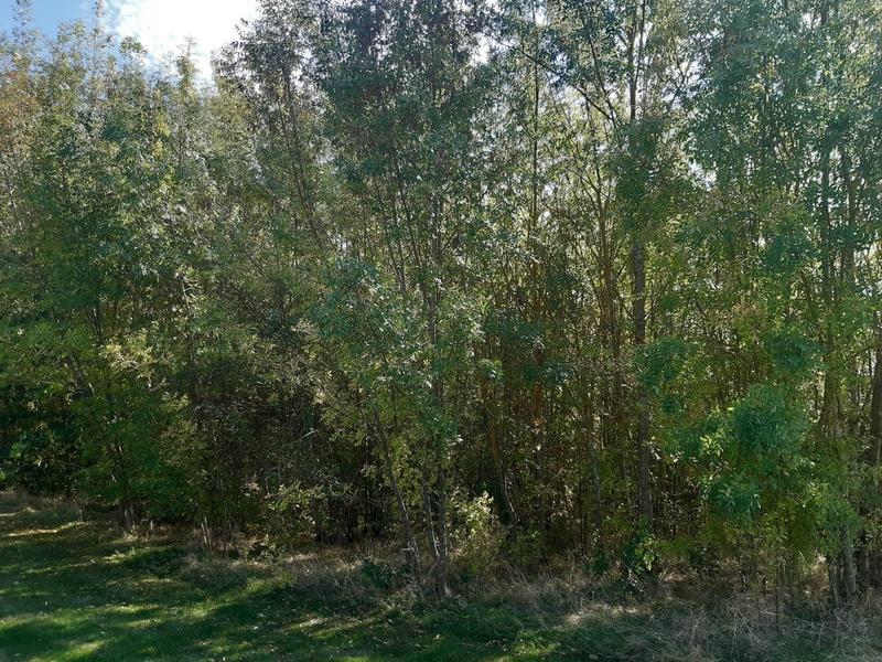 Terrain constructible - 8 711 m²