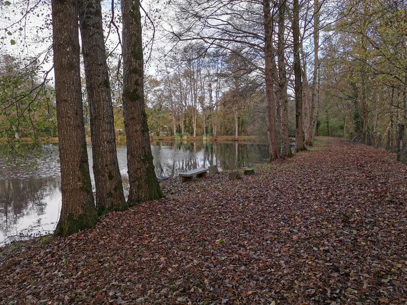 Terrain de loisirs - 10 300 m²