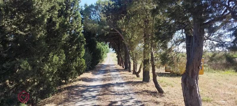 Maison - 409 m² - 17 pièces